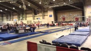 Haleigh Bryant  2014 Buckeye Classic Vault [upl. by Myrlene]