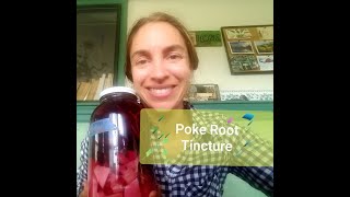 Poke Tincture for Lymphatics Phytolacca americana Cleansing the Body of Toxins Clogged Milk Ducts [upl. by Airla]