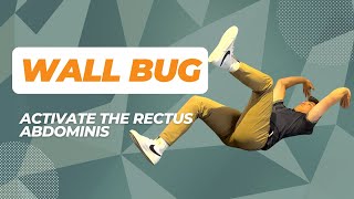 Wall Bug  Activate Your Core and Abdominal Muscles [upl. by Werna632]