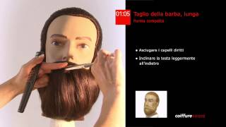 36 Taglio della barba lunga [upl. by Oirazan419]