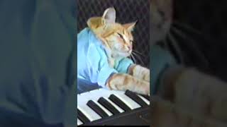 Keyboard Cat Original shorts [upl. by Charisse265]