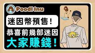 【POODL】新幣預售！惡搞貴賓狗迷因幣項目！恭喜 SMOG MK 大家賺錢 Poodl inu【小田博一】 [upl. by Enelhtak]