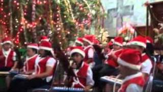 Natal 2010 Ensambel Musik Sekolah Minggu HKBP Tanjung Karang 2 [upl. by Aliakim]