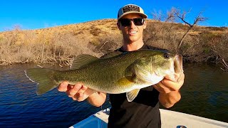 Largemouth Bass Fishing SOCAL Catching Fish in the Fall [upl. by Auhsej]