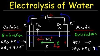 Electrolysis of Water  Electrochemistry [upl. by Akinna]