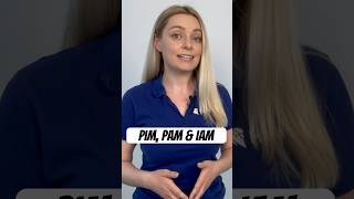 PIM vs PAM vs IAM Understand the Differences [upl. by Medardas]