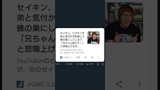 神回爆笑！ツイートにアフレコしてみたwwwwwTwitter [upl. by Anavrin]