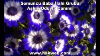 Somuncu Baba İlahi Grubu Aşkın Oduyla Canımı http www hakweb com YouTube [upl. by Edaj467]