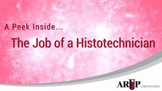 A Peek Inside The Job of a Histotechnician [upl. by Aneehsor]