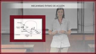 Farmacología de los hipoglucemiantes orales 1ª Parte [upl. by Sigrid990]