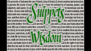 Snippets of Wisdom from the Book of Proverbs Extended Video [upl. by Ralip]