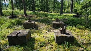 Skogsbrandtorn Brandbevakningstorn Luftbevakningstorn Ärtekleven [upl. by Primrosa750]