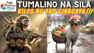 30 mins COMPILATION SMART ANIMAL MOMENTS  HAYOP NAKUNAN NA PARANG TAO [upl. by Nickolas292]