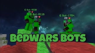 minecraft single player bedwars with bot [upl. by Hcnarb]