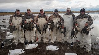 Hunting Pintails Mallards and Wigeon on a Greasy Sheet Water Hole [upl. by Hanid]