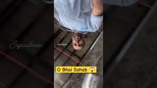 O Bhai sahab 😱music trading glass cutting [upl. by Oirottiv]