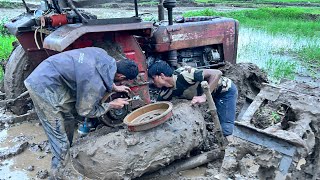 Old Massey Ferguson 245 Di Breakdown in Paddy Filed  Tractor Rear Wheel Damaged  Vikash Meena [upl. by Norramic]