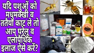 यदि पशुओं को मधुमक्खीhoney beeव ततैया काट ले तो आप घरेलू व एलोपैथिक इलाज कैसे करें [upl. by Oruntha126]