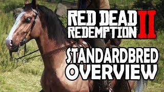 American Standardbred Overview  Red Dead Redemption 2 Horses [upl. by Ahsial]