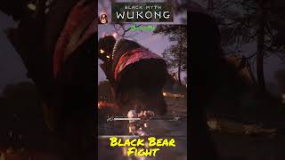 Black Bear  Black Myth Wukong [upl. by Anayt759]