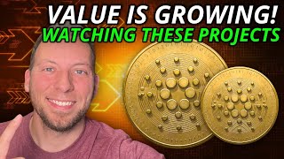 CARDANO ADA  VALUE BEGINNING TO GROW PROJECTS ARE SURGING [upl. by Perron]