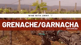 Grape Varieties GarnachaGrenacheCannonau Advanced Version for WSET L3 and 4 [upl. by Etnohs]