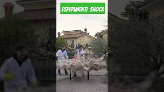 Esperimenti shock youtubeshorts experiment viralvideo remix shock funny [upl. by Karney]