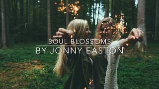 Soul Blossoms  Royalty Free  Inspirational Piano Music [upl. by Cire]