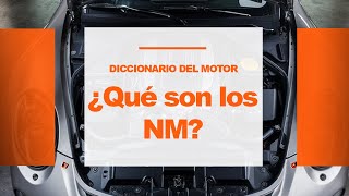 Descubre el Poder del Par Motor ¡Todo sobre los Newton Metro 🚗💥🔧  Review Newton Metro [upl. by Jereld]