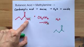 Butanoic Acid  Methylamine   Nmethylbutanamide  Water [upl. by Yancy]