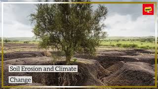 What is Soil Erosion and Why Is It Critical to Prevent [upl. by Eseuqcaj55]