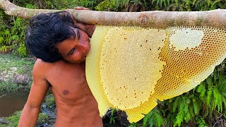 Million Dollars Skill Brave Millionaire Harvesting Honey Beehive by Hands [upl. by Nuawad412]