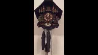 Cuckoo clock chiming [upl. by Carper371]