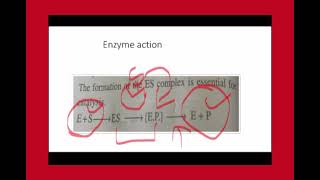 Activation energy in enzyme action [upl. by Bindman]