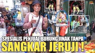 MULAI VIRAL  PENJUAL BURUNG JINAK TANPA SANGKAR JERUJI DI PASAR BURUNG PRAMUKA [upl. by Llednyl415]