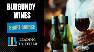 Burgundy Wines Short Course  Food and Beverage Service Training 20 [upl. by Aylat]