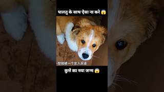 प्यारा कुत्ता और उसके पिछले जन्म की यादें 😱  short anime dog movie cartoon [upl. by Stelu]