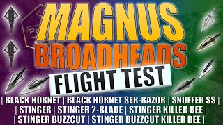 MAGNUS BROADHEADS FLIGHT TEST  8 TESTED  STINGER KILLER BEE BUZZCUT SNUFFER BLACK HORNET [upl. by Lipski589]