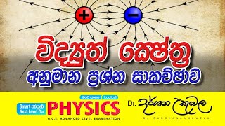 විද්‍යුත් ක්ෂේත්‍ර අනුමාන ප්‍රශ්න සාකච්ඡාව  Dr Darshana Ukuwela [upl. by Baoj]