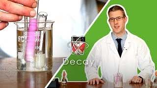 Decay  GCSE Biology Required Practical [upl. by Enyak890]