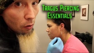 Tragus Piercing Essentials THE MODIFIED WORLD [upl. by Hedelman]