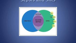 Sepsis pathophysiologySIRS and CARS [upl. by Garratt]