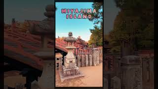 The Amazing View of Miyajima Island  HiroshimaJapan japanvlog miyajima miyajimaisland [upl. by Trill127]