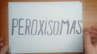 ¡¡PEROXISOMAS EXPLICADOS DE FORMA RÁPIDA Y SENCILLA🧬🩺 [upl. by Anilak]