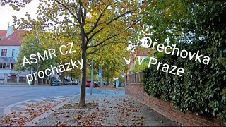 ASMR CZ procházky  podzimní procházka po Ořechovce 🏡🍁🍂🎙️🎧 [upl. by Kirshbaum2]