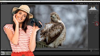 My NEW Lightroom Editing Workflow for Wildlife [upl. by Polik]