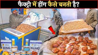 देखिए फैक्ट्री में हींग कैसे बनती है  See how asafoetida is made in the factory  The Fact Zone [upl. by Halima]