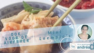 Mini loempias frituur en airfryer recept [upl. by Staford683]