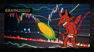 EVIL Speculators Drive Grain Prices Lower [upl. by Cressler319]