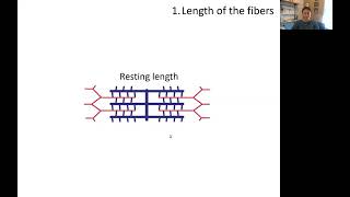 Muscle Physiology LengthTension Relationship [upl. by Merrell]